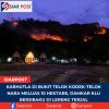 Karhutla di Bukit Telok Kodek-Telok Nara Meluas 10 Hektare, Damkar KLU Berjibaku di Lereng Terjal