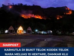 Karhutla di Bukit Telok Kodek-Telok Nara Meluas 10 Hektare, Damkar KLU Berjibaku di Lereng Terjal