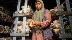 Setahun Desa Berdaya Medana, PLN dan Klub Baca Perempuan Tumbuhkan Ekonomi yang Menghidupkan Aksi Sosial