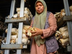 Setahun Desa Berdaya Medana, PLN dan Klub Baca Perempuan Tumbuhkan Ekonomi yang Menghidupkan Aksi Sosial