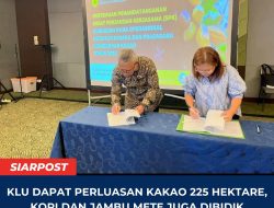 KLU Dapat Perluasan Kakao 225 Hektare, Kopi dan Jambu mente juga dibidik