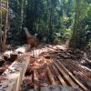 Usut Dugaan Illegal Logging di Kwangko Dompu, Jurnalis Siarpost Diancam dan Bakal Lapor ke Polda NTB