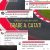 Sirkuit Mandalika Raih Homologasi Grade A dari FIM, Standar Tertinggi Balap MotoGP Dunia