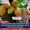 Lombok Utara Dapat Bantuan Kakao 1.061 Hektare, Petani Disiapkan untuk Tingkatkan Produksi