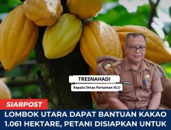 Lombok Utara Dapat Bantuan Kakao 1.061 Hektare, Petani Disiapkan untuk Tingkatkan Produksi