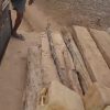 Viral Video Truk Bermuatan Kayu Dihadang Warga di Dompu, Dugaan Illegal Logging di Saneo