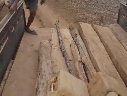Viral Video Truk Bermuatan Kayu Dihadang Warga di Dompu, Dugaan Illegal Logging di Saneo