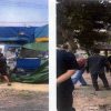 Truk Barang Bukti Kayu Ilegal Dibawa Paksa dari Kantor KPH Lotim, Dinas LHK Lapor Polda