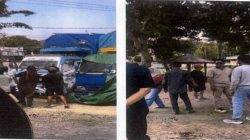 Truk Barang Bukti Kayu Ilegal Dibawa Paksa dari Kantor KPH Lotim, Dinas LHK Lapor Polda